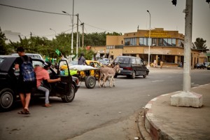 Emsiges Treiben auf den Straßen