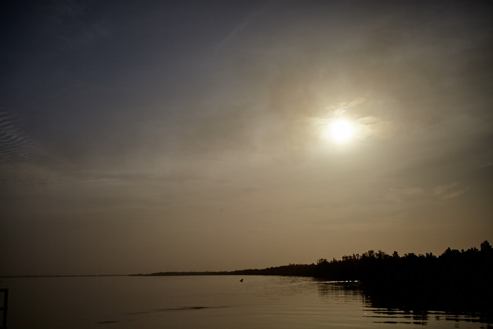 Mytische Stimmung auf dem Gambia-River